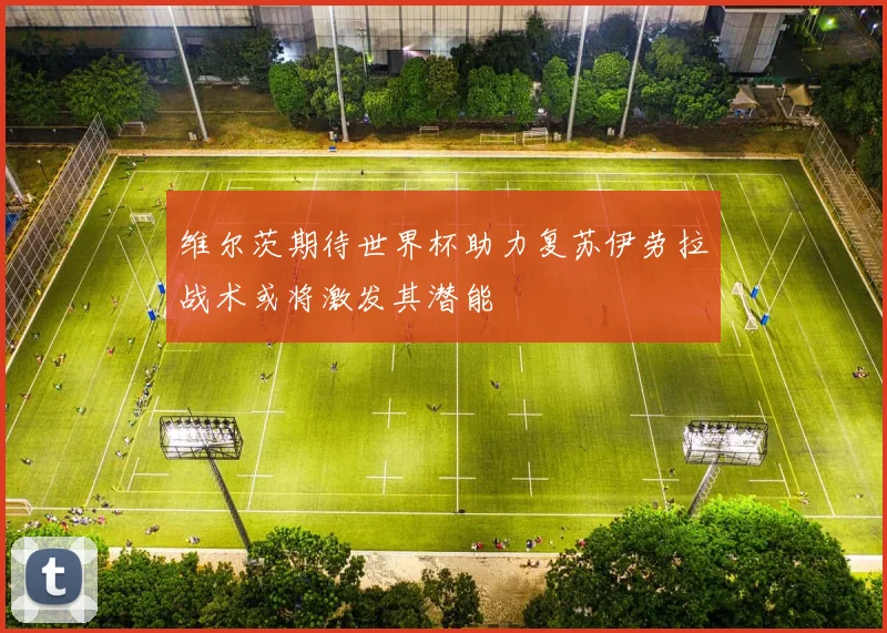 维尔茨期待世界杯助力复苏伊劳拉战术或将激发其潜能